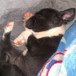 Meet your Posher, Jaylen